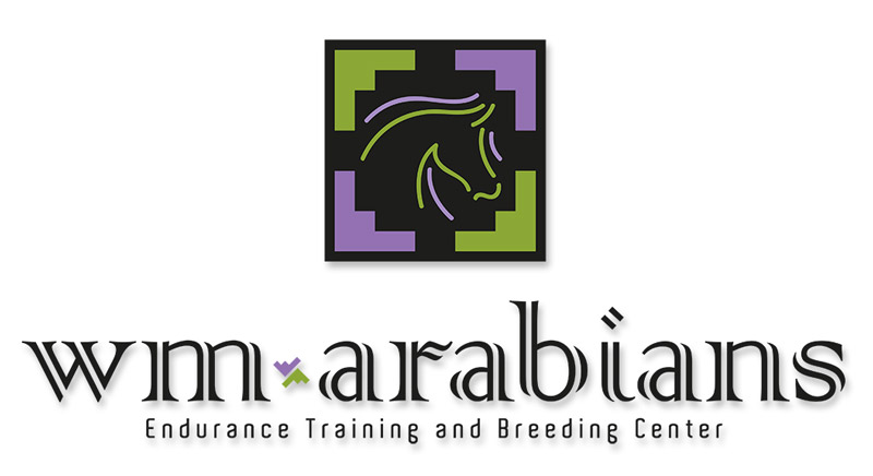 logo wm arabians