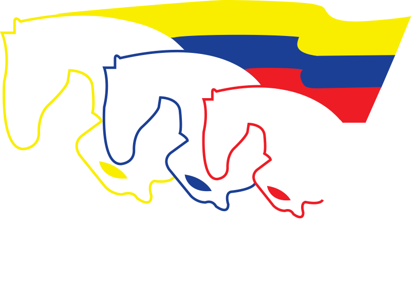 Federación Ecuatoriana de Deportes Ecuestres