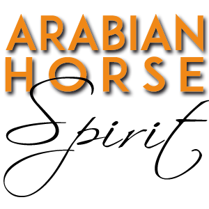 Arabian Horse Spirit